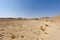 Melancholy and emptiness of the desert in Israel.