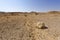 Melancholy and emptiness of the desert in Israel.