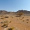 Melancholy and emptiness of the desert in Israel.