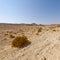 Melancholy and emptiness of the desert in Israel