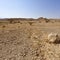 Melancholy and emptiness of the desert in Israel