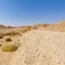 Melancholy and emptiness of the desert in Israel