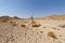 Melancholy and emptiness of the desert in Israel