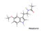 Melatonin hormone structural formula. Vector illustration