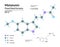 Melatonin. Pineal Gland Hormone. Regulator of Diurnal Rhythms. Structural Chemical Molecular Formula and 3d Model