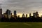 Melbourne city skyline at dusk or early sunset showing buildings, clouds and trees