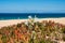 Melides beach in Alentejo coast in Portugal