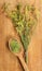 Melilot. Dried herbs. Herbal medicine, phytotherapy medicinal he