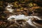 Melincourt Brook riverbed