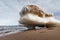 Meling ice on sand beach near Merigomish NS Canada