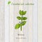 Melissa, essential oil label, aromatic plant