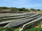 MELLIEHA, MALTA - Apr 03, 2014: Rows of fruits such as strawberries being grown on irrigated farmland in Malta