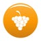 Mellow grape icon orange