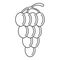 Mellow grape icon, outline style