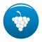 Mellow grape icon vector blue