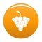 Mellow grape icon vector orange