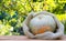 Mellow pumpkin in a bag made of natural fabric on a wooden table. Green natural background. Autumn concept. Copy space.