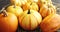 Mellow pumpkins laid on hay