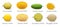 Melon varieties vector illustration