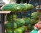 Melons at the market