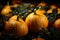 Melons set spooky scene on black orange backdrop, designed for text