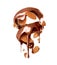 Melted chocolate in a twisted shape with crushed almonds closeup isolated on a white background