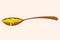 Melted ghee butter in wooden spoon. Vector illustration