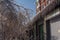 Melted ice and snow on the roof and tree branches after a sleet. Winter landscape