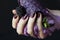 Melted lilac ice cream in a beautiful female hand with harmonious manicure. Cream flows down the hand, green mint leaf and