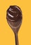 The melted sweet dark chocolate wood spoon detail.