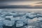 melting arctic sea ice floes breaking