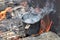 Melting black tar in metal cup on bonfire steam