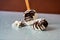 Melting coconut ice lolly on dewy glass background