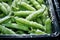 Melting frozen green peas, macro. Healthy food vegetables concept