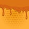 Melting honey on honeycomb texture