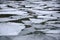 Melting ice floes in water