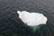 Melting iceberg drifting water of Atlantic Ocean