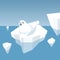 Melting Iceberg And Fur Seal