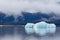 Melting iceberg in Mendenhall Lake