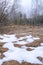 Melting snow in early spring at edge of forest