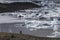 Melting tongue of the Breidamerkurjokull glacier summer season