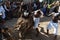 Members of the cultural event Nego Fugido fight against hunters