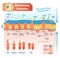 Membrane proteins labeled vector illustration. Detailed structure scheme.