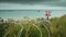 Memorial beach and barbed wire at Arromanches, France