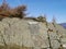 Memorial on Castle Crag, Borrowdale