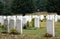 Memorial cemetery of the great war in flanders fields