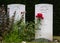 Memorial cemetery of the great war in flanders fields