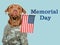 Memorial Day. Adorable dog and congratulatory inscription