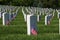 Memorial Day Flags