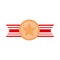 Memorial day star medal ribbon decoration american celebration flat style icon